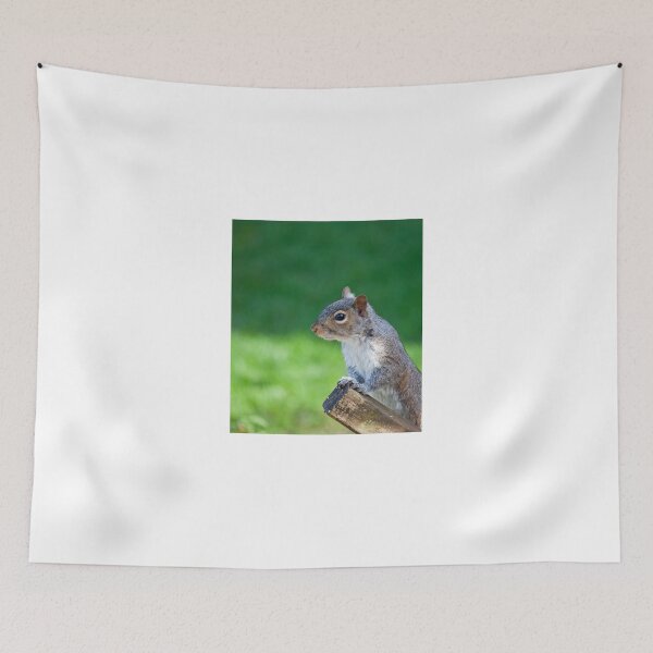 Item preview, Grey Squirrel head shot designed and sold by Sue Robinson.
