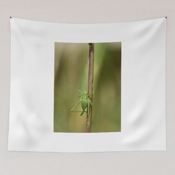 Item preview, Speckled Bush Cricket designed and sold by Sue Robinson.