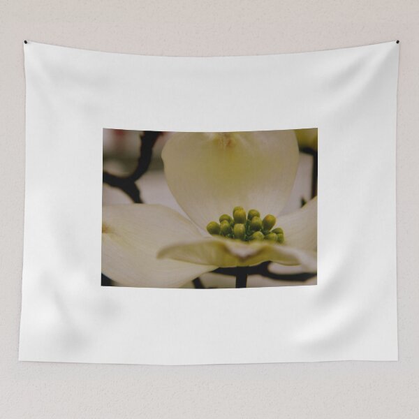 Item preview, Dogwood Petals     ^ designed and sold by ctheworld.