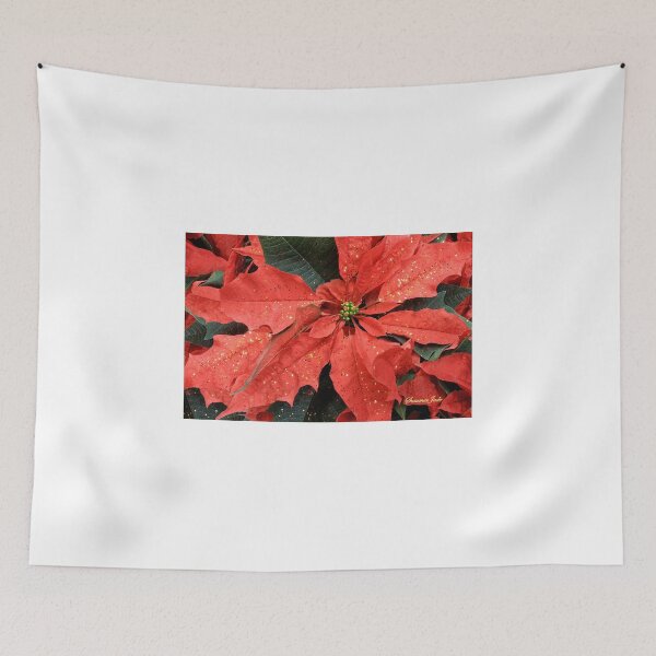 Item preview, Poinsettia ~ Sprinkled with Glitter designed and sold by SummerJade.