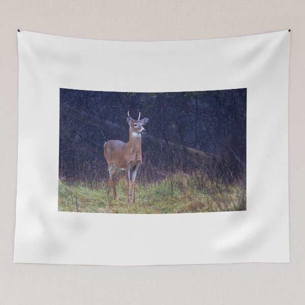 Item preview, Young Royalty - White-tailed deer designed and sold by James Cumming.