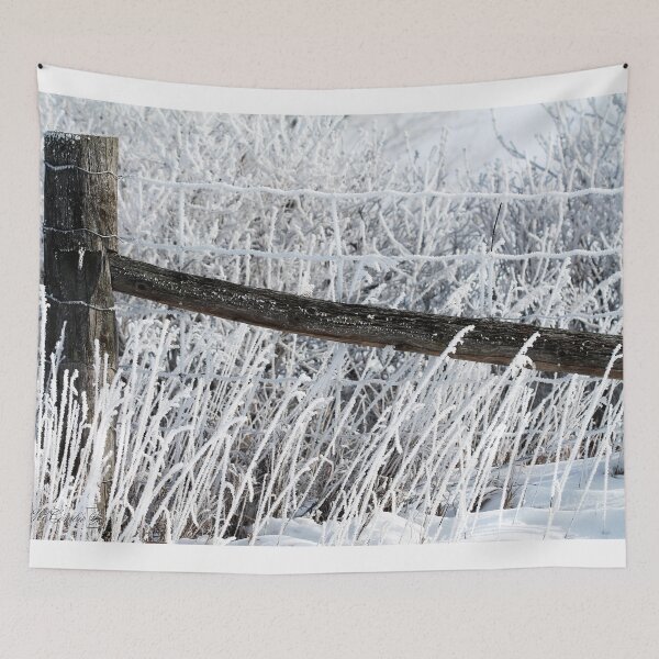 Aperçu de l'œuvre Hoar Frost on the Fence créée et vendue par JMcCombie.