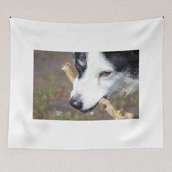 Item preview, stick fetcher jess designed and sold by kip13.