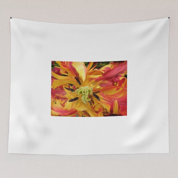 Item preview, Firey Swirls, Tulip, Canberra, Australia. designed and sold by kaysharp.