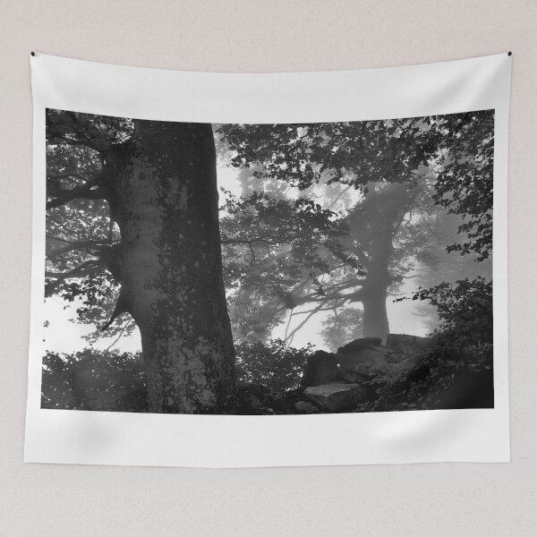 Item preview, Trees in the Mist designed and sold by itchingink.