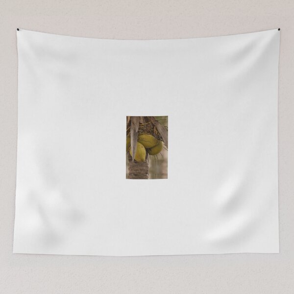 Item preview, Coconut iPhone case designed and sold by Scott Dovey.