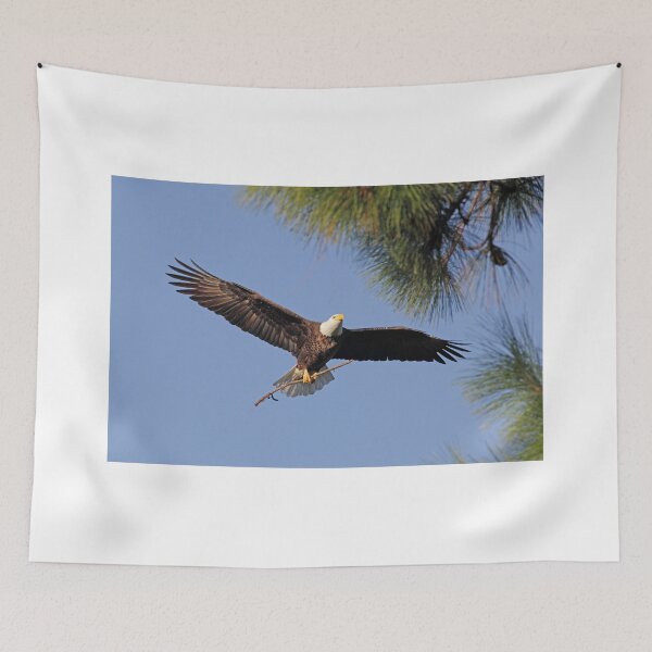 Item preview, adding to the nest designed and sold by kathy s gillentine.