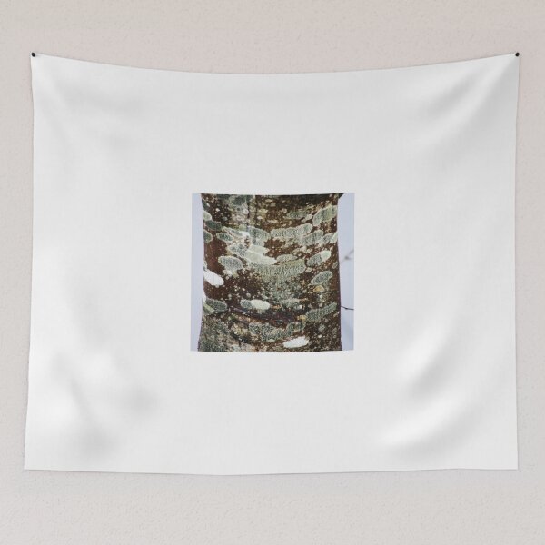 Item preview, Tree trunk designed and sold by Jonesyinc.