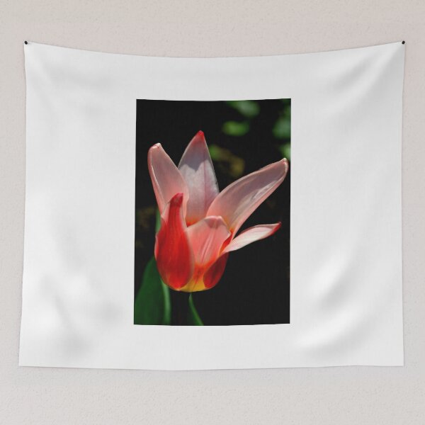 Item preview, Tulip designed and sold by lynn carter.