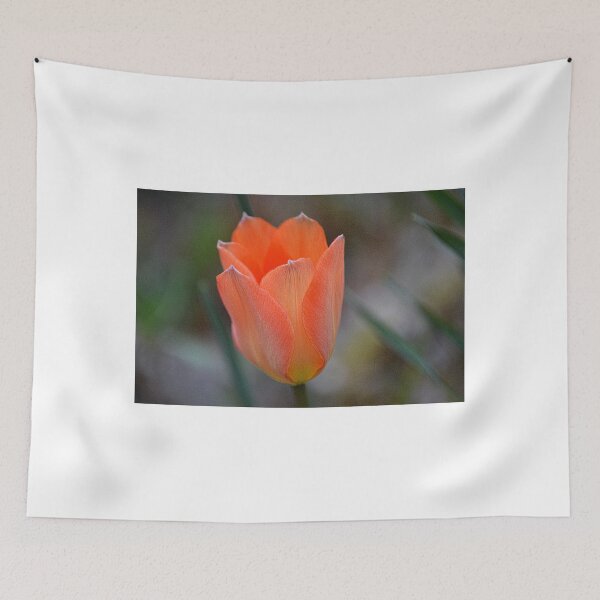 Item preview, Orange Tulip designed and sold by lynn carter.