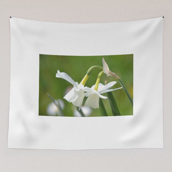 Item preview, Pretty Daffy Duo designed and sold by lynn carter.