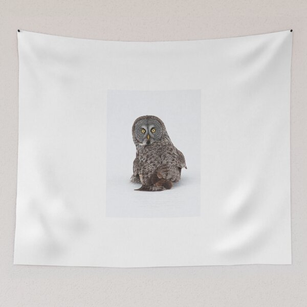 Item preview, Great Grey Owl  designed and sold by James Cumming.