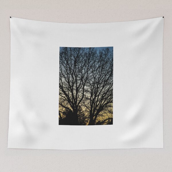 Item preview, Magestic Tree Closeup designed and sold by Diego Re.