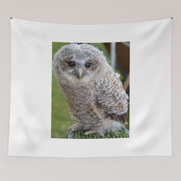 Item preview, Ain't  I Cute  designed and sold by lynn carter.