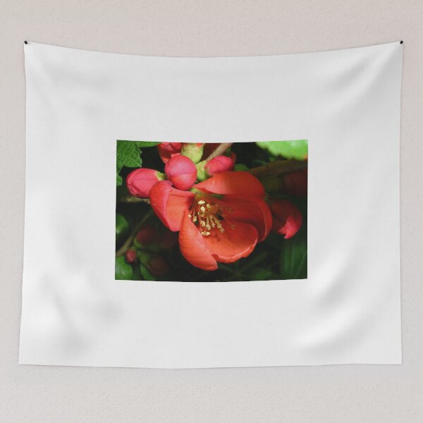 Item preview, Japanese Quince designed and sold by lezvee.