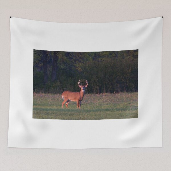 Item preview, Deer in the Meadow - White-tailed deer designed and sold by James Cumming.