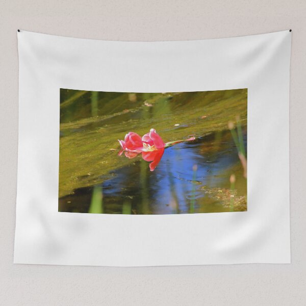 Item preview, AFLOAT designed and sold by Larry Trupp.