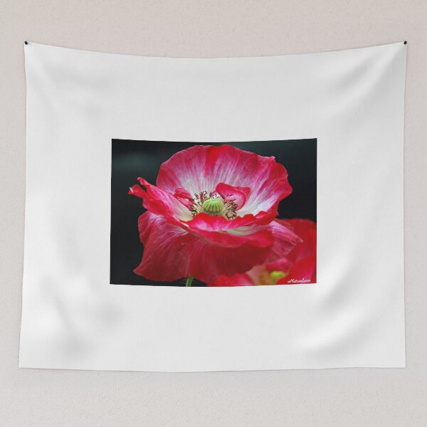 Item preview, Windswept designed and sold by naturelover.