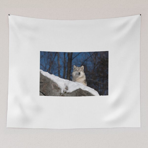 Item preview, Arctic wolf designed and sold by James Cumming.