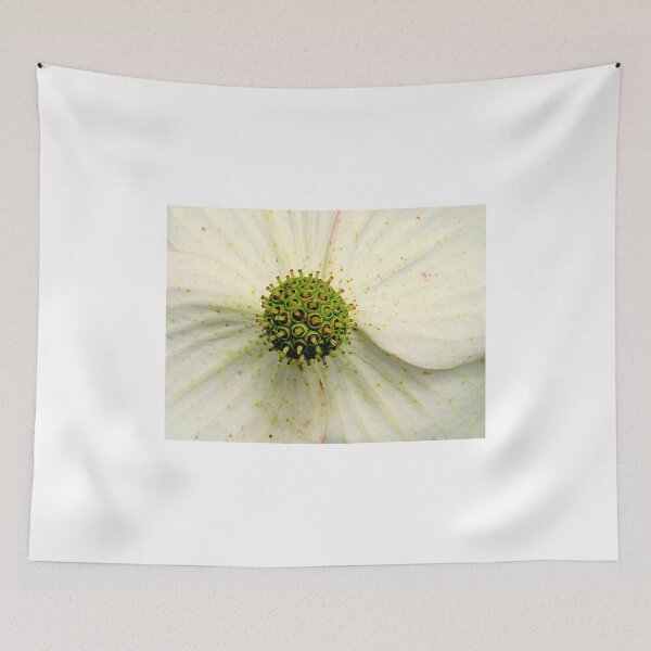 Item preview, ....Achoooooo! ^ designed and sold by ctheworld.