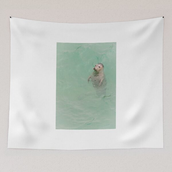 Item preview, Grey seal, Saltee Island, County Wexford, Ireland designed and sold by AndrewJonesFoto.