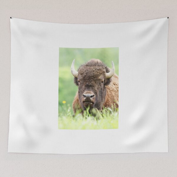 Item preview, Bison designed and sold by James Cumming.