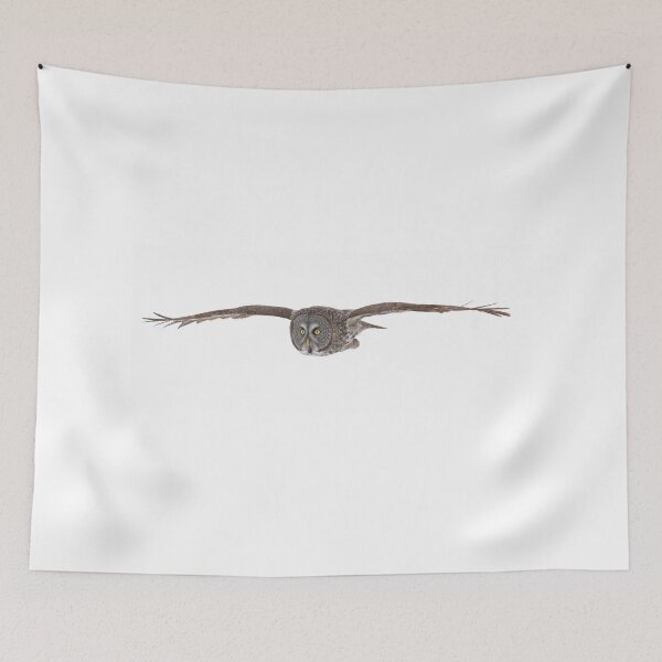 Item preview, Great Grey Owl designed and sold by James Cumming.