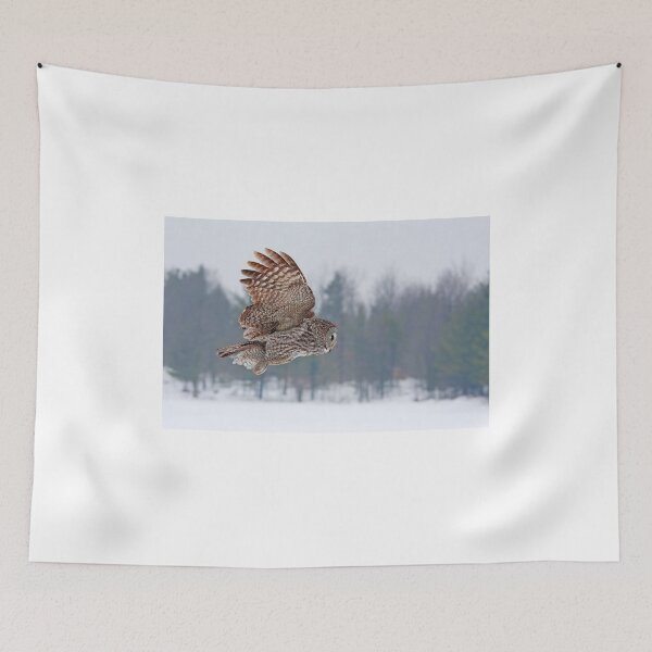 Item preview, Flyby - Great Grey Owl designed and sold by James Cumming.