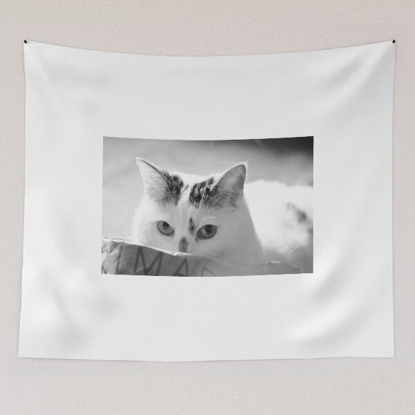 Item preview, I Have Nothing In My Paws! designed and sold by Ladymoose.