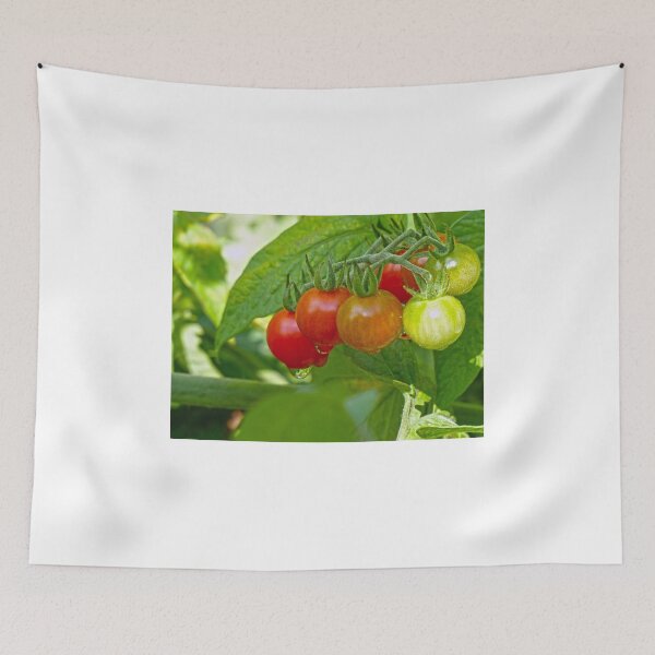Item preview, The Morning After an Evening Rain designed and sold by Frankie Cat Photography.