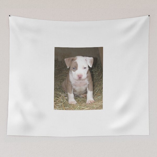 Item preview, You Said What? designed and sold by Ginny York.