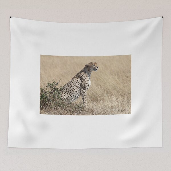 Item preview, Looking About, Cheetah, Maasai Mara, Kenya designed and sold by Carole-Anne.