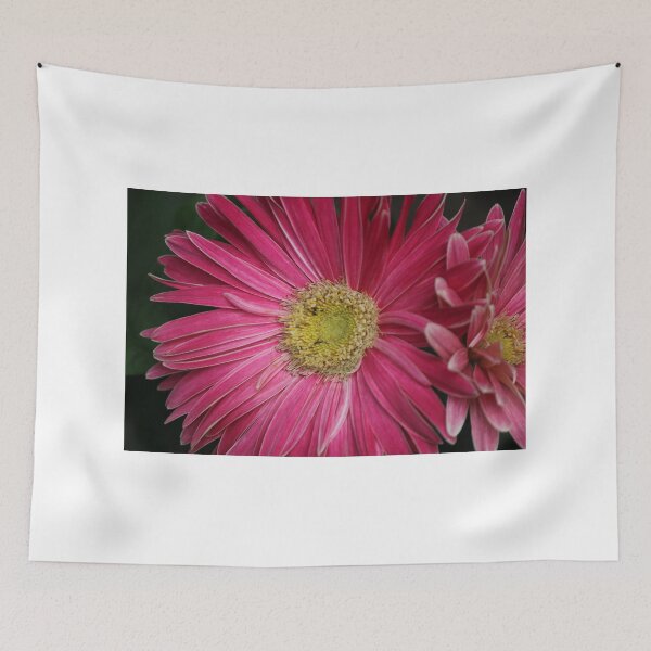 Item preview, Gerber Daisy designed and sold by DebbieCHayes.