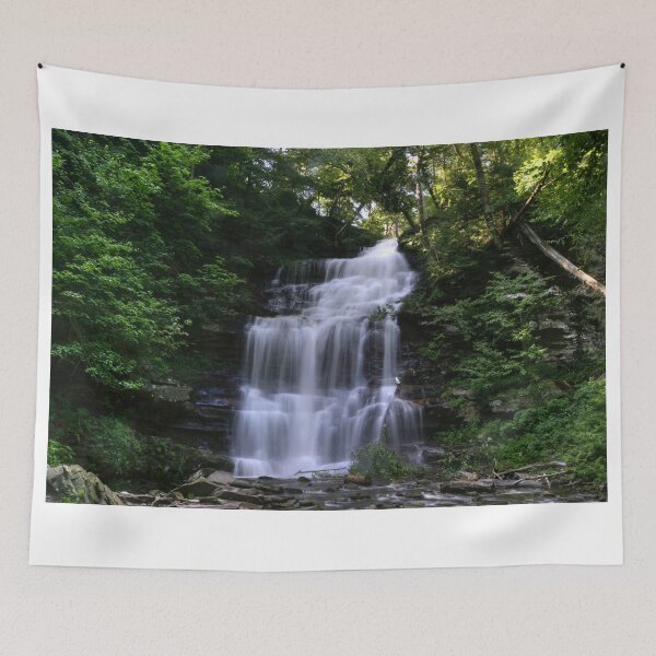 Item preview, Hot August Relief Below Ganoga Falls designed and sold by Gene Walls.