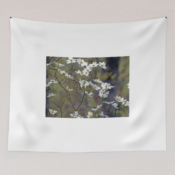 Item preview, Flowering Dogwood designed and sold by Frankie Cat Photography.