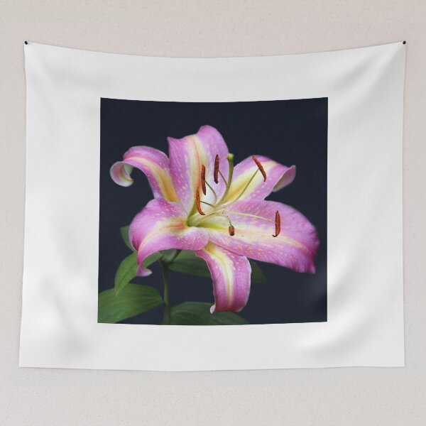 Item preview, Vivacious Lily designed and sold by vette.