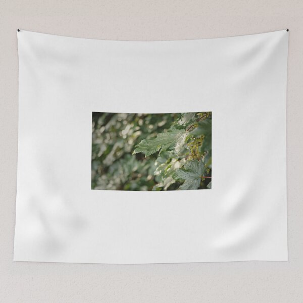 Item preview, Sunshine on Wet Leaves designed and sold by Ms-Bexy.