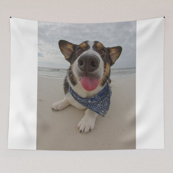 Item preview, Salty Dog designed and sold by WorldDesign.