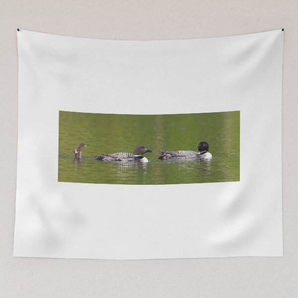 Item preview, Welcome to the looniverse! Common Loons designed and sold by James Cumming.