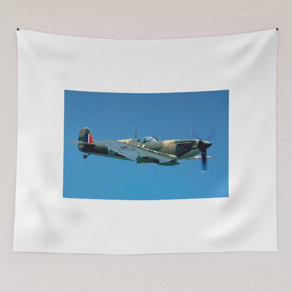 Item preview, Supermarine Spitfire IIa P7350/QV-B designed and sold by Colin Smedley.