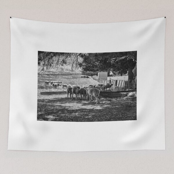 Item preview, Sheep'n'shade'n'shed designed and sold by Maree Cardinale.