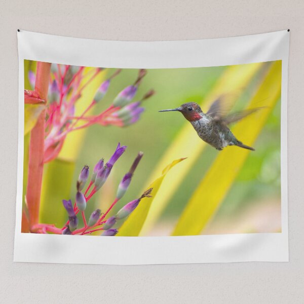 Item preview, Male Anna's Hummingbird designed and sold by MCHerdering Photography.