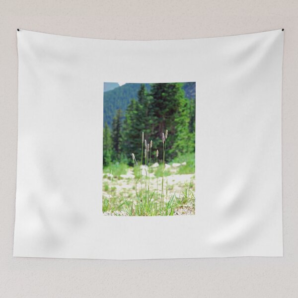 Item preview, Berthoud Pass Tall Grass  designed and sold by Robert Meyers-Lussier.