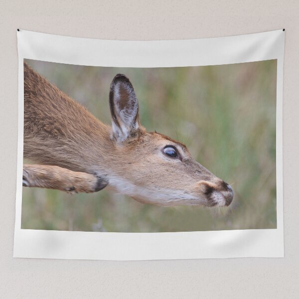 Item preview, Scratch that Itch designed and sold by WorldDesign.