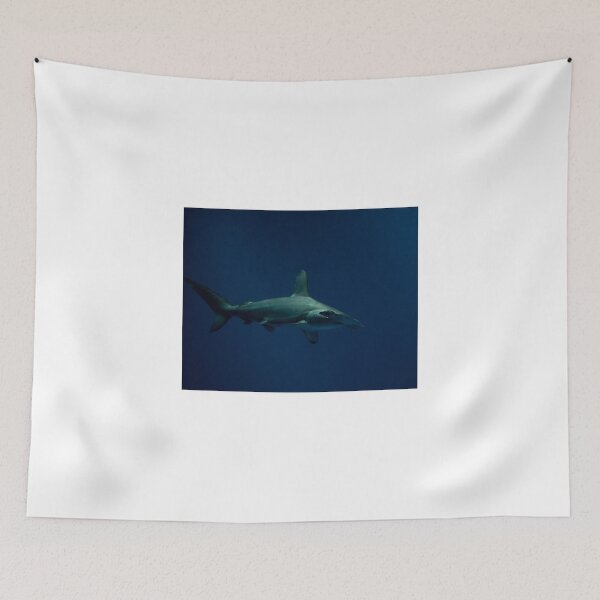 Item preview, Donnie Sharko designed and sold by Diego Re.