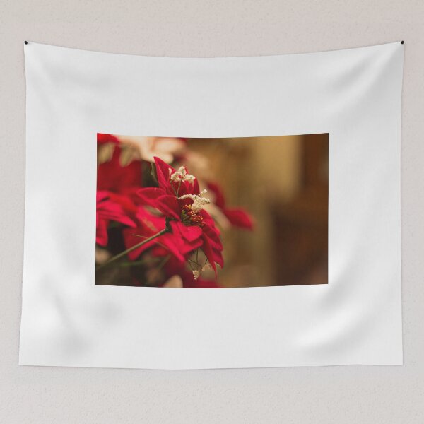 Item preview, Poinsettia designed and sold by John Velocci.