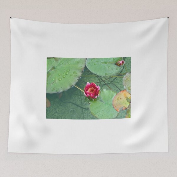 Item preview, Pink Water Lily in the Rain designed and sold by Kathryn Jones.