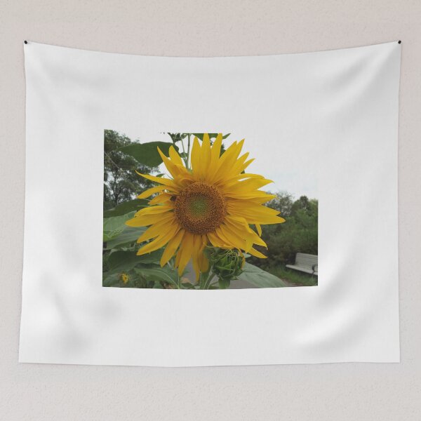 Item preview, NY August Sunflower Close-Up, Liberty State Park, New Jersey designed and sold by lenspiro.