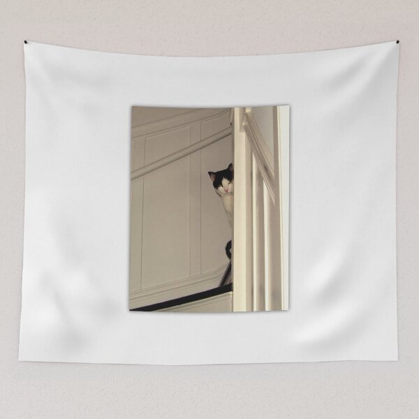 Item preview, Scaredy Cat - Max designed and sold by Michael May.