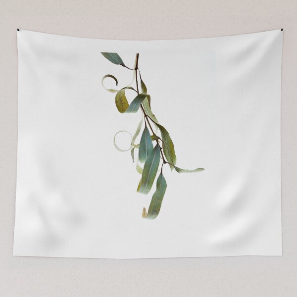 Item preview, Drying Eucalypts.  designed and sold by John Holding.